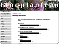 example of the polling booth layout's results page showing a horizontal bar graph to show how many times each response was selected